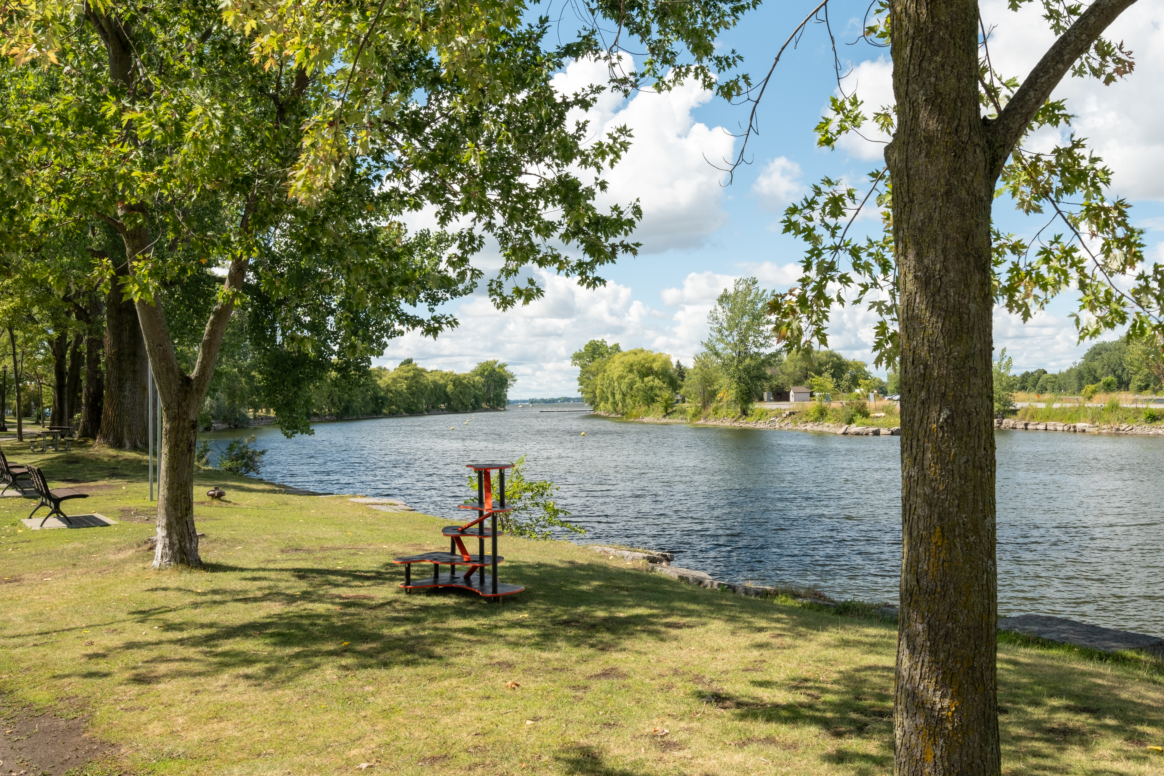 Ponts soleil pour couleuvres, Parc RenÃ©-LÃ©vÃ¨sque, MontrÃ©al. Galerie B-312.